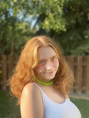 No Image Found
